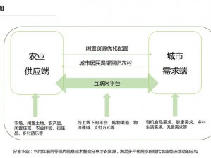 大规模农场模式重塑农业生产：从传统农耕到现代农业管理的探索与突破