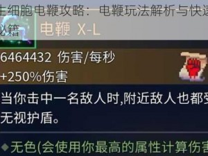 重生细胞电鞭攻略：电鞭玩法解析与快速上手秘籍