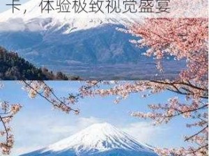 日本一大新区免费高清不卡;日本一大新区免费高清不卡，体验极致视觉盛宴