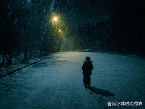 光影交错：光夜回响的开启与决策攻略指南