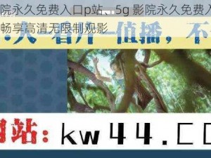 5g影院永久免费入口p站、5g 影院永久免费入口 p 站，畅享高清无限制观影