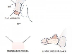 成年男性怎么变大变粗变长—成年男性如何变大变粗变长