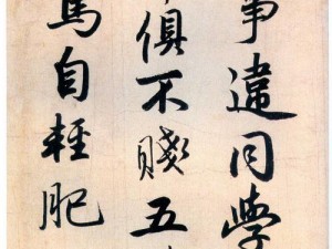 公的浮之手中字5原名叫什么(公的浮之手中字 5 原名叫什么？)