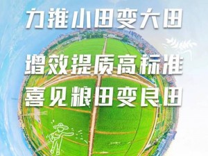 大地资源中文在线观看官网、大地资源中文在线观看官网，高清无码免费观看