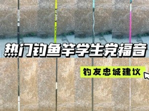 天涯明月刀手游钓鱼竿购买指南：探寻最佳购买地点，轻松开启垂钓之旅