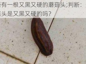 判断有一根又黑又硬的蘑菇头;判断：这根蘑菇头是又黑又硬的吗？