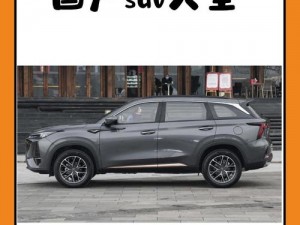 一级 suv 好看的国产网站，空间宽敞舒适，动力强劲，安全性能卓越，是家庭出行的理想选择