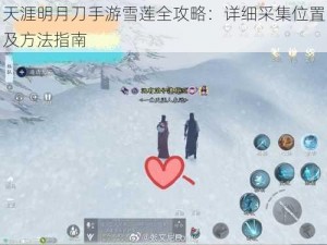 天涯明月刀手游雪莲全攻略：详细采集位置及方法指南