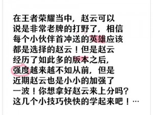 王者荣耀赵云使用指南：七大注意事项助你掌握战斗技巧与策略