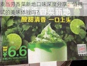 麦当劳香菜新地口味深度分享：值得一试的美味体验吗？