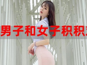 积枳桶积枳免费大全，优质资源轻松获取，让你的生活更精彩