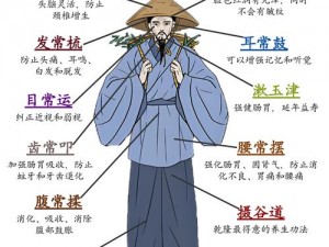 貘良了：人物介绍的核心与深度解析