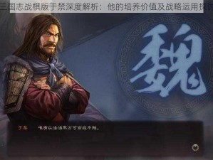 三国志战棋版于禁深度解析：他的培养价值及战略运用探讨