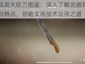 和平精英大砍刀图鉴：深入了解武器背后的故事与特点，领略实用战术运用之道