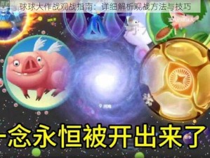 球球大作战观战指南：详细解析观战方法与技巧