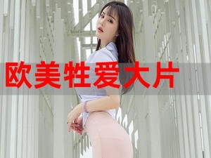 FreeXXXHD女人,FreeXXXHD 女人：色情视频还是道德困境？