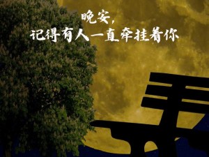 温馨提示：夜深了请准备好纸巾，让[产品名称]陪伴你度过每一个夜晚