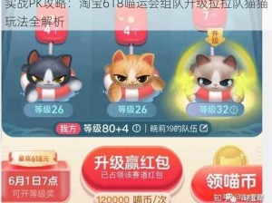 实战PK攻略：淘宝618喵运会组队升级拉拉队猫猫玩法全解析