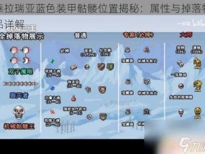 泰拉瑞亚蓝色装甲骷髅位置揭秘：属性与掉落物品详解