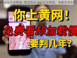 黄金网站app大全韩国—黄金网站 app 大全韩国，海量资源等你来发现