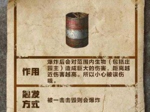 明日之后汽油桶使用指南：专业汽油桶放置位置与使用方法揭秘