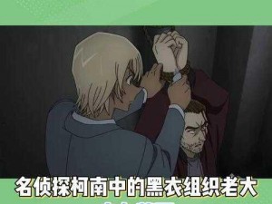 名侦放大镜：揭秘真相的显微镜，探寻事实的深度剖析者