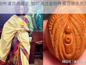 金刚杵灌顶肉莲花;如何通过金刚杵灌顶修炼肉莲花？