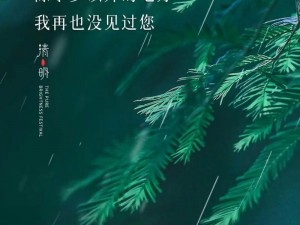 抖音上令人深思的原创视频：探索无人关注你蜕变之路的隐秘之歌