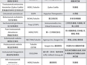 0adc的十八岁年龄是什么意思-0adc 的十八岁年龄是什么意思？