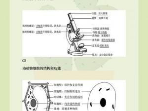 失控的生物课老师教学视频，带你领略不一样的生物世界