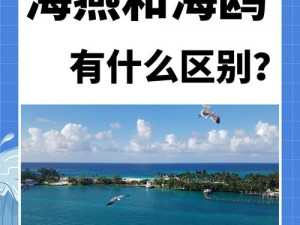 关于木筏求生中的海鸥应对策略与杀海鸥技巧心得分享的探讨