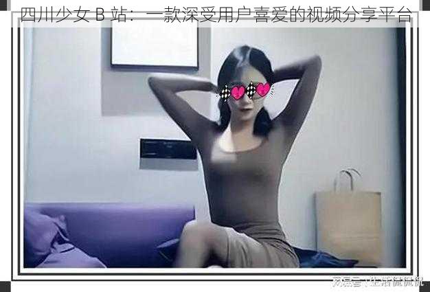 四川少女 B 站：一款深受用户喜爱的视频分享平台