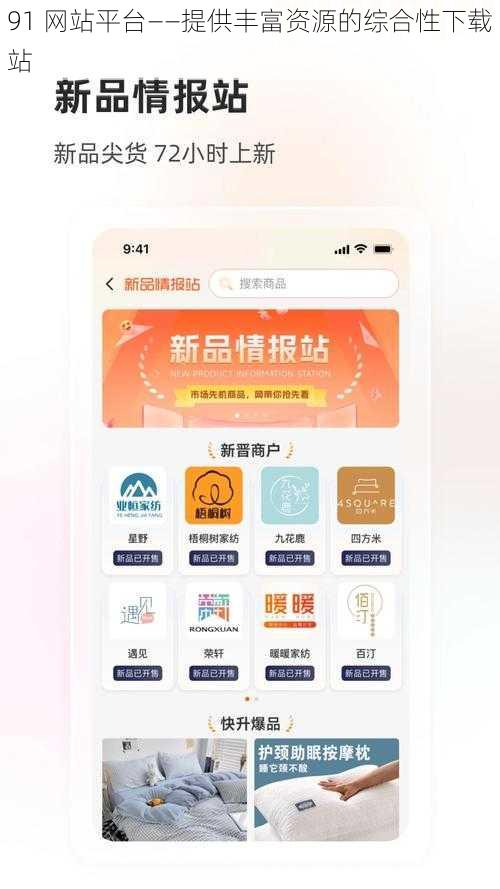 91 网站平台——提供丰富资源的综合性下载站
