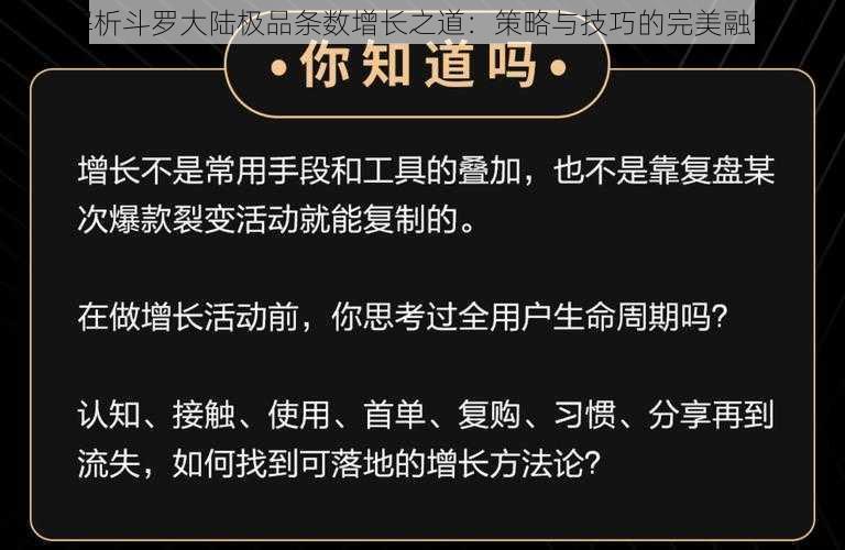 解析斗罗大陆极品条数增长之道：策略与技巧的完美融合