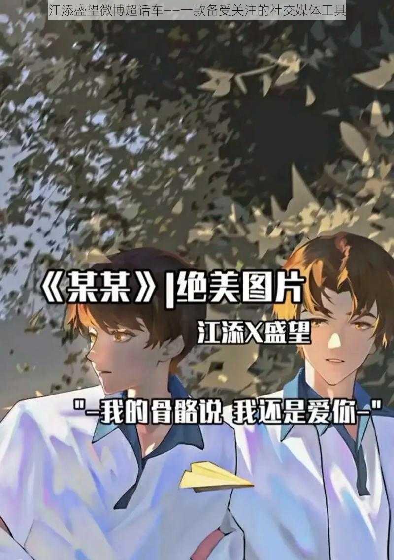 江添盛望微博超话车——一款备受关注的社交媒体工具