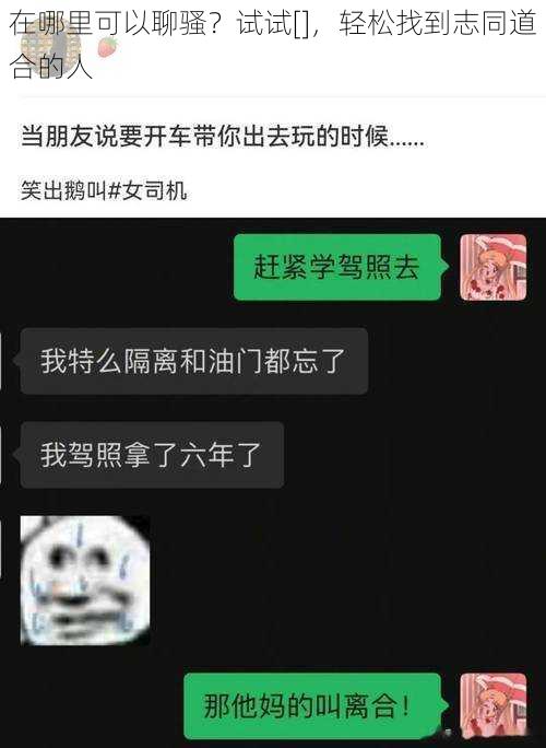 在哪里可以聊骚？试试[]，轻松找到志同道合的人