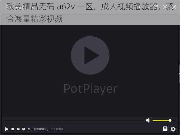 欧美精品无码 a62v 一区，成人视频播放器，聚合海量精彩视频