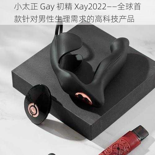 小太正 Gay 初精 Xay2022——全球首款针对男性生理需求的高科技产品