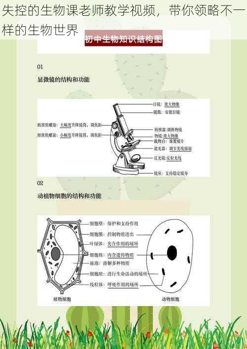 失控的生物课老师教学视频，带你领略不一样的生物世界