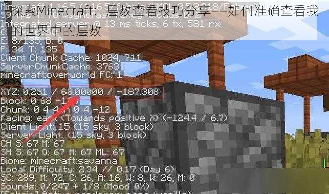 探索Minecraft：层数查看技巧分享——如何准确查看我的世界中的层数