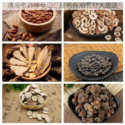 清冷帝师怀孕记：珍稀保胎药材大放送