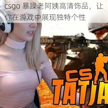 csgo 暴躁老阿姨高清饰品，让你在游戏中展现独特个性