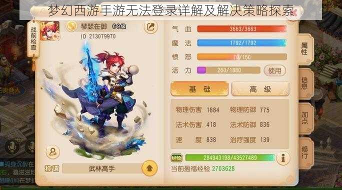 梦幻西游手游无法登录详解及解决策略探索