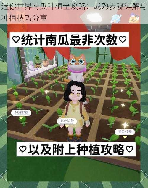 迷你世界南瓜种植全攻略：成熟步骤详解与种植技巧分享