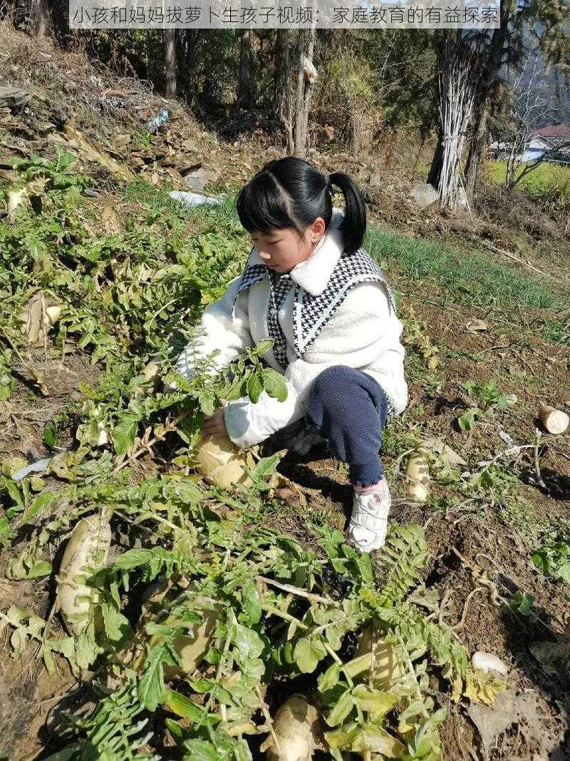 小孩和妈妈拔萝卜生孩子视频：家庭教育的有益探索