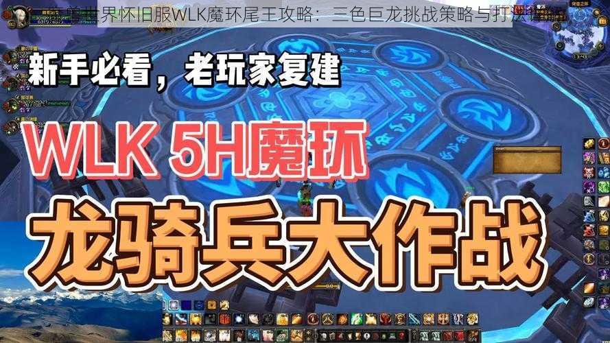 魔兽世界怀旧服WLK魔环尾王攻略：三色巨龙挑战策略与打法详解