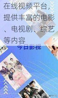 在线视频平台，提供丰富的电影、电视剧、综艺等内容