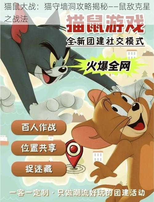 猫鼠大战：猫守墙洞攻略揭秘——鼠敌克星之战法