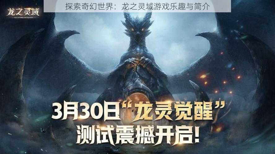 探索奇幻世界：龙之灵域游戏乐趣与简介