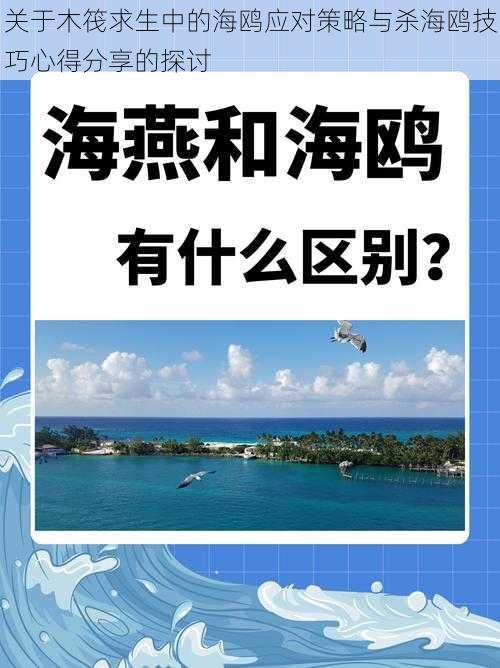 关于木筏求生中的海鸥应对策略与杀海鸥技巧心得分享的探讨